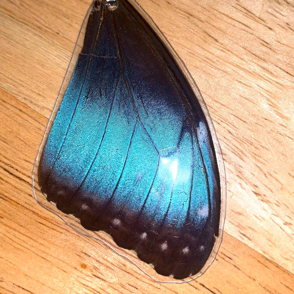 Real Morpho butterfly wing pendant!